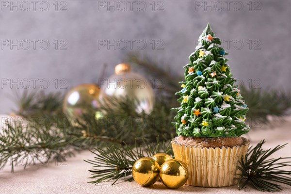 Front view cupcake with christmas tree frosting