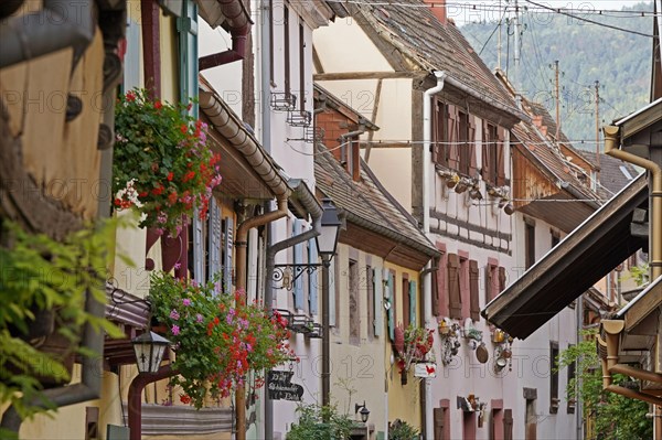 Colourful half-timbered houses in the historic old town of Eguisheim