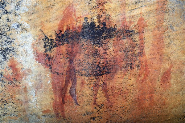 Ancient San Rock Art