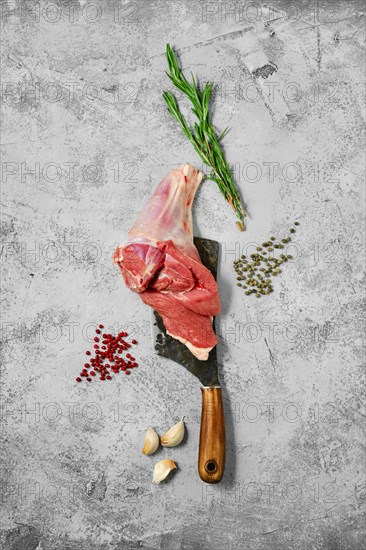Composition with raw uncooked lamb leg