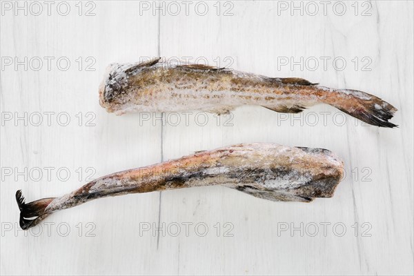 Frozen raw pollock carcass on wooden table