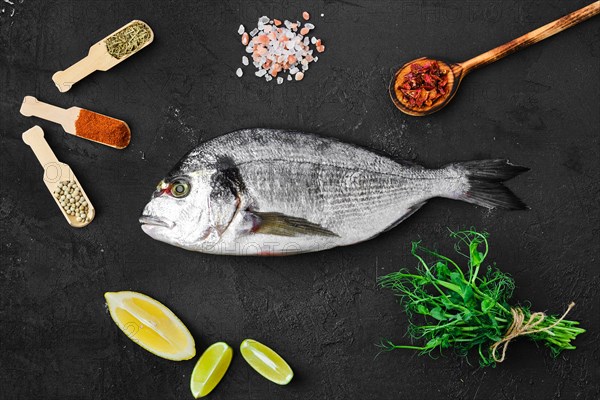 Dorada fish on the table with spice and herbs