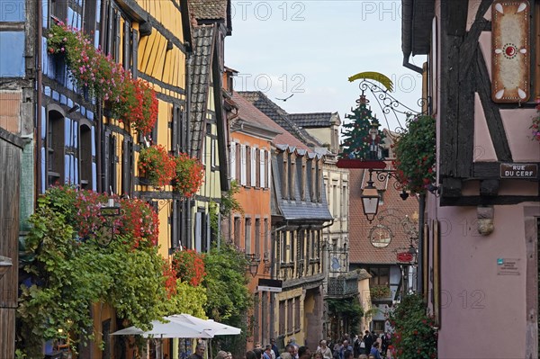 Colourful half-timbered houses in the historic old town of Riquewihr