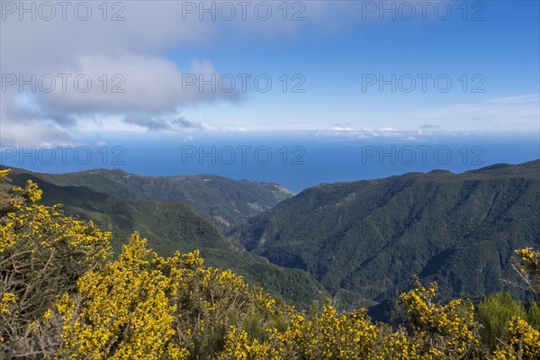 View from Miradouro do Rabacal