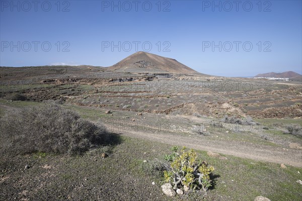 Rocky landscape around the volcano Montana de Guenia