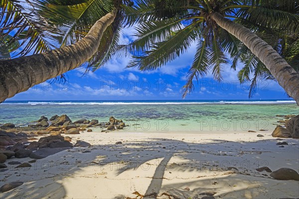 Dream beach Anse Baleine