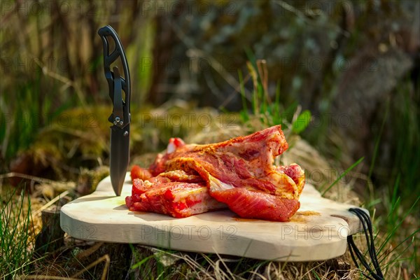 Fresh pork ribs with salt and pepper on cutting board outdoor. Selective focus photo