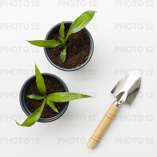 Top view plants with shovel. Resolution and high quality beautiful photo