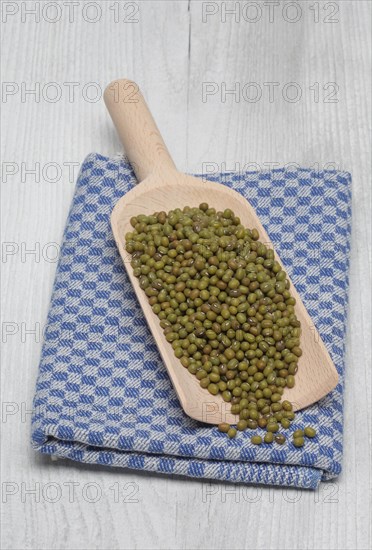 Mung bean