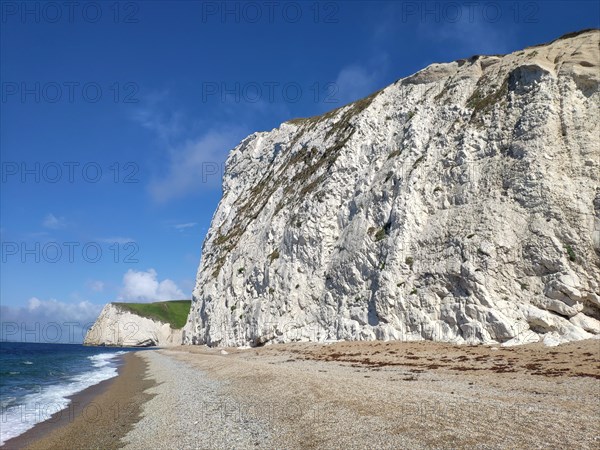 Chalk cliffs at Durdle Door