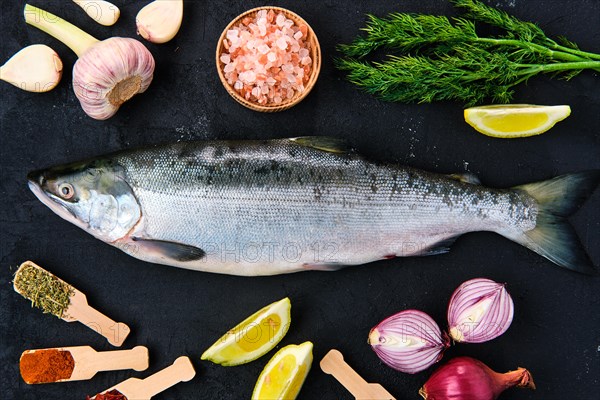 Red salmon on black concrete background