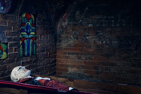 Vampire sleeps in coffin in the bed room of his underground dungeon