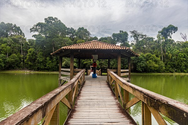 Forest Park Sinop