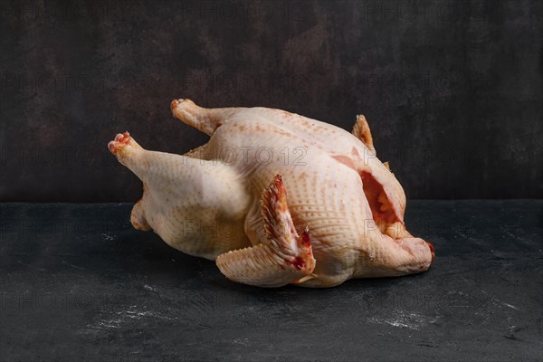 Whole raw turkey carcase on dark background