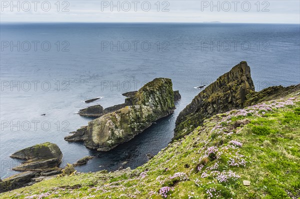 The steep cliffs of Sumburgh head