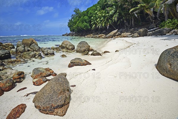 Dream beach Anse Baleine