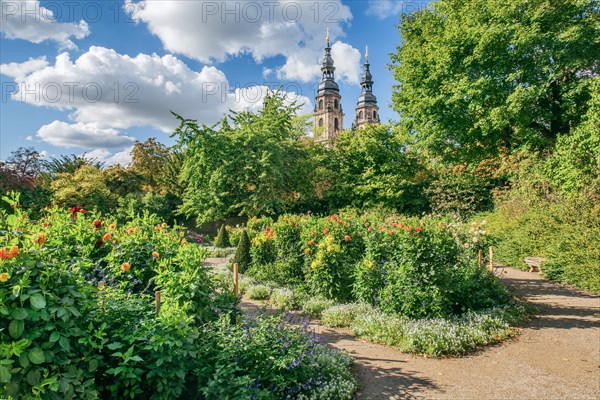 Dahlia garden with towers of St. Salvator Cathedral