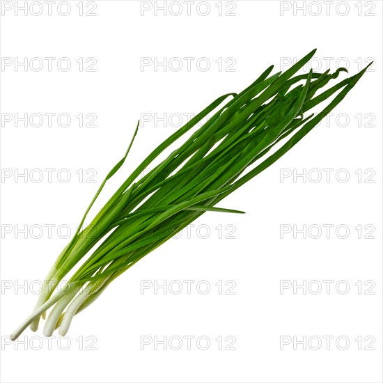 Top view of fresh spring onion isolated on white background