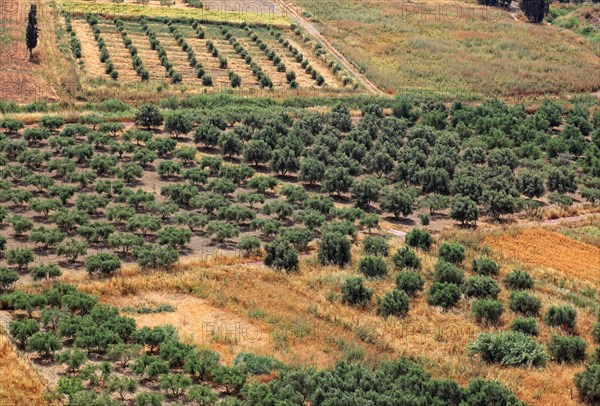 View over the Mesara plain