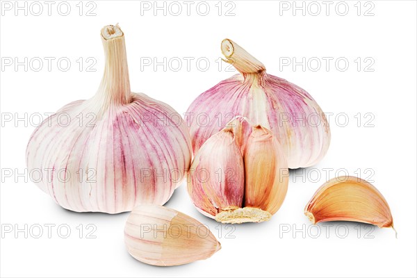 Fresh garlic with segments isolated on white background