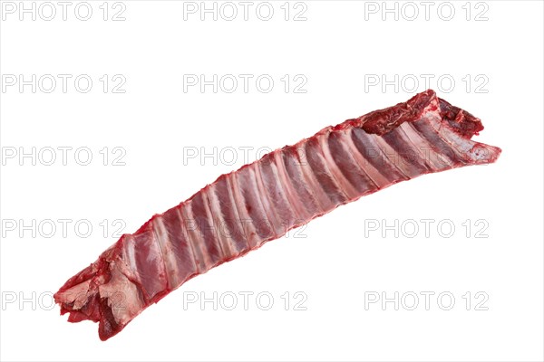 Raw fresh deer ribs isolated on white background