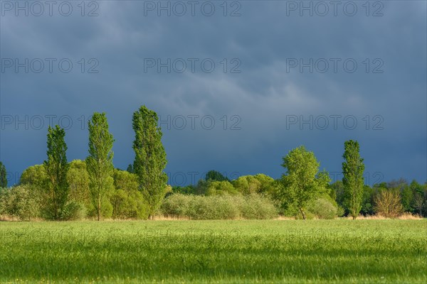 Stormy skies over a meadow in rainy spring weather. Alsace
