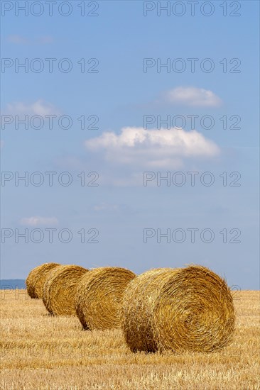 Stubble field with straw rolls