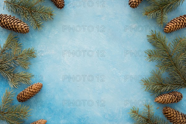 Frame wreath pine needles cones