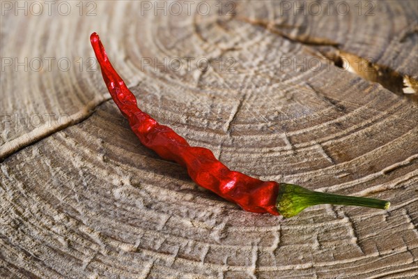 Dry whole chilli pepper on wooden background