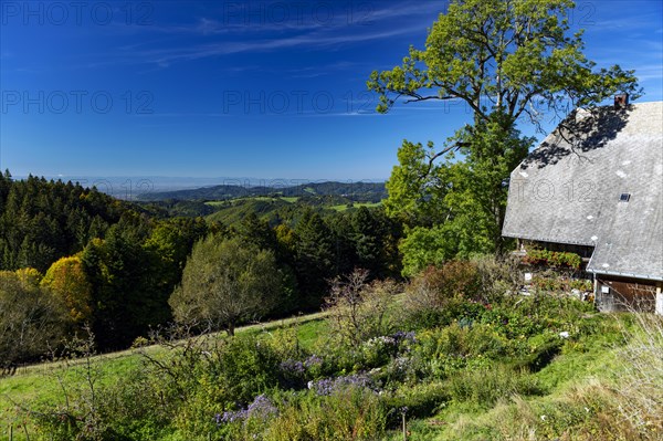 Farm with farm garden and view into the valley