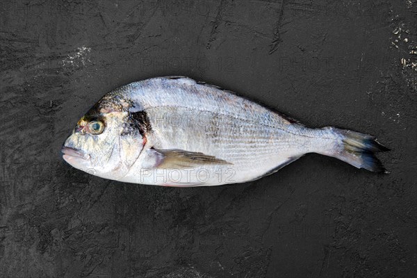 Raw dorada fish on black stone table