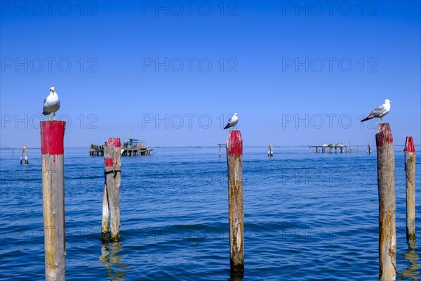 On the lagoon