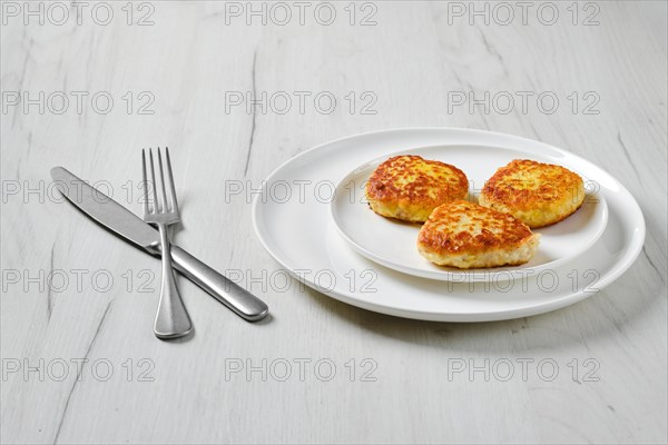 Fried squid cutlet in breading on a plate