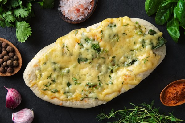 Tasty pita bread baked with herbs and spice surrounded with ingredients