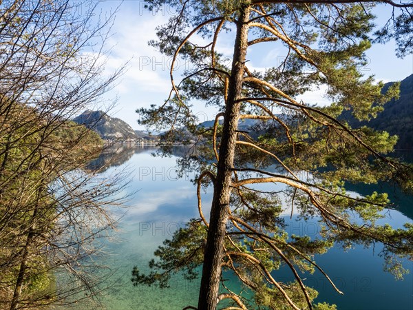 Near Fuschl am See