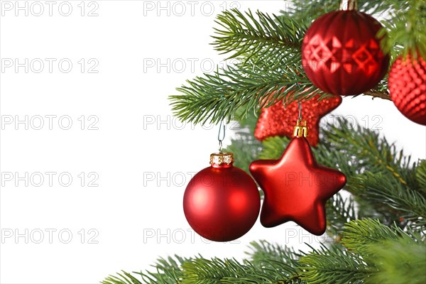 Red star and ball shaped Christmas baubles on decorated Christmas tree on side of white background with copy space