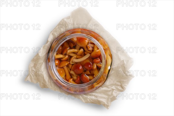 Pot with pickled honey agaric isolated on white