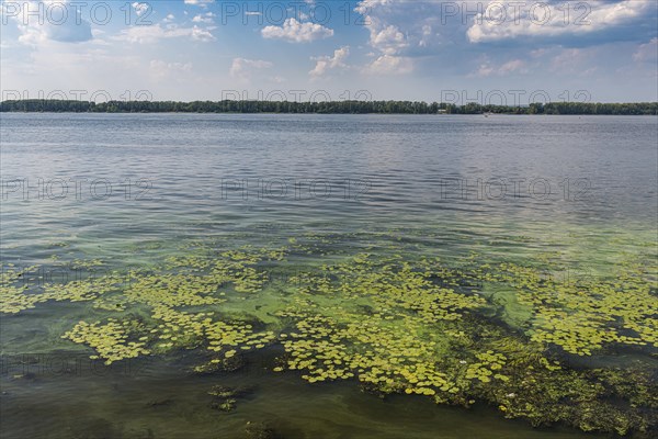 River banks of the Volga