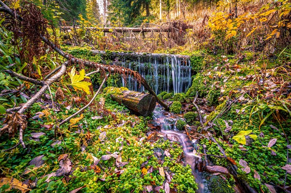 Long exposure of a small stream with a small waterfall in the Schoenjungferngrund in the Erzgebirge below the Fichtelberg