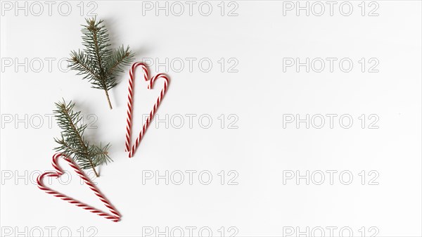 Fir tree branches with candy canes