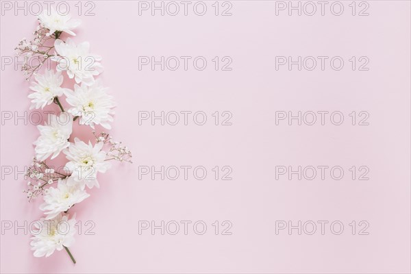 Flowers background