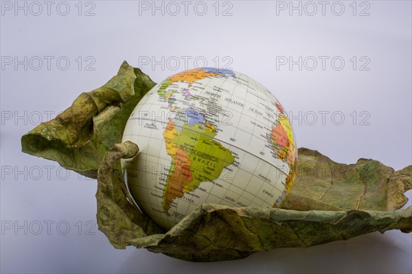 Little model globe placed on dry Autumn leaf
