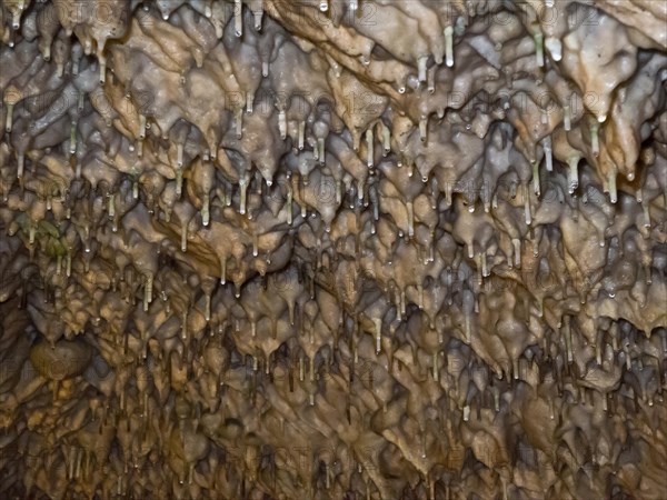 Stalactite formations in the Baerenhoehle