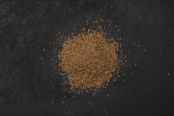 Pile of caraway scattered on dark background