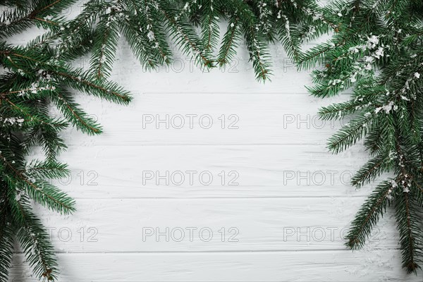 Coniferous branches with snow