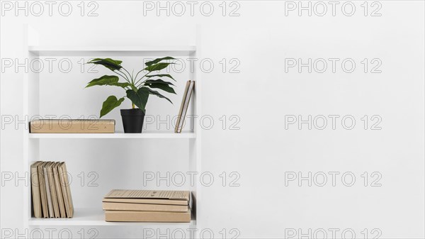 Nordic style bookshelf with plant