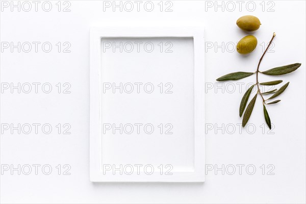 Yellow olives with frame mock up. Resolution and high quality beautiful photo