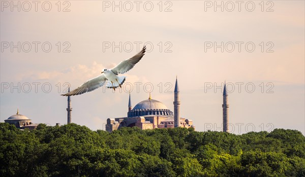 Hagia Sophia