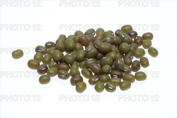 Mung bean