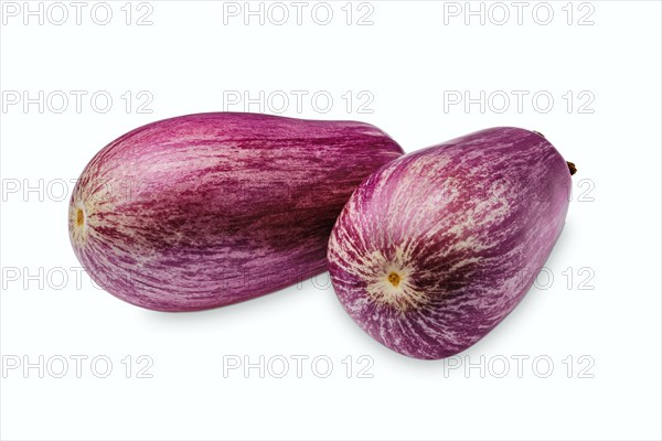 Lilac striped eggplant isolated on white background